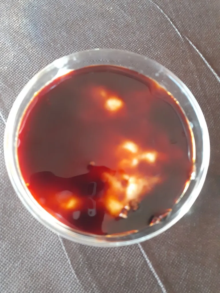 Menu_Restaurante La Fontanita_Aldeanueva de la Vera_image_6