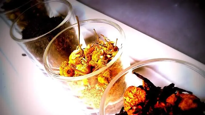 gastropazmaribar_Aliseda_slider_image_3