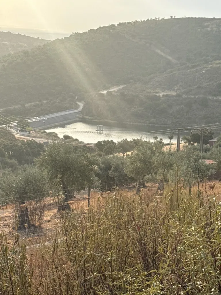 cristobal jesus martinez belmonte_La Taberna del Cazador_Aliseda_review