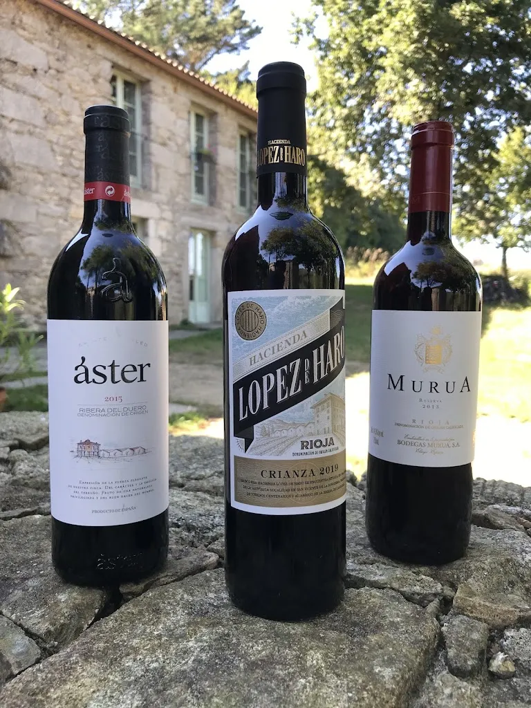 Jacqueline Clemente_PATA NEGRA_Vimianzo_review