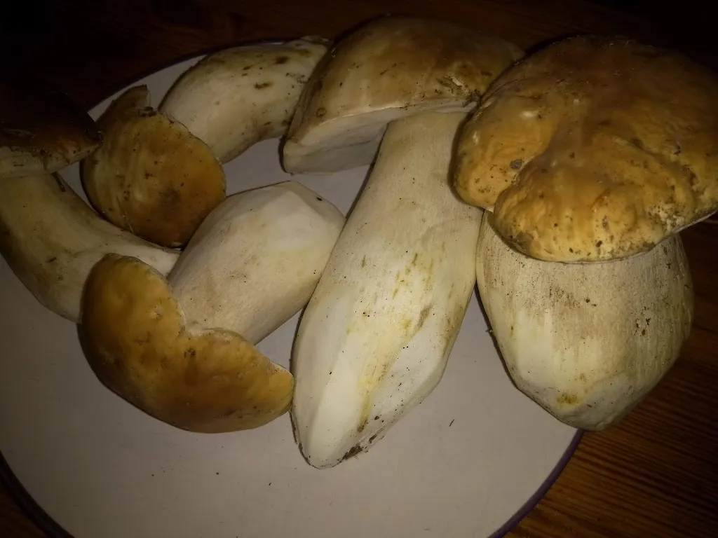 Menu_Bar El Puro_Casar de Palomero_immagine_2