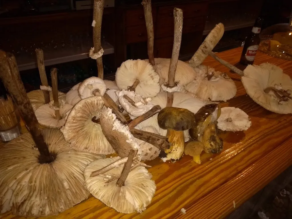 Menu_Bar El Puro_Casar de Palomero_immagine_5