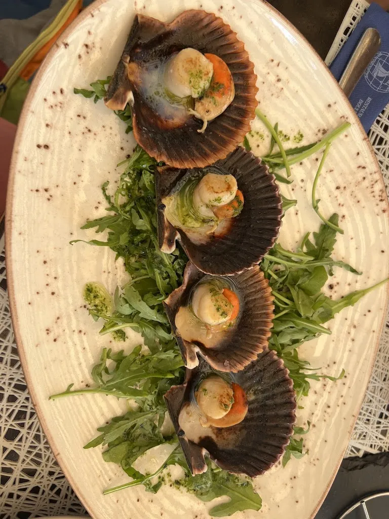 Megarie_Boulevard Náutico_Alborea_review