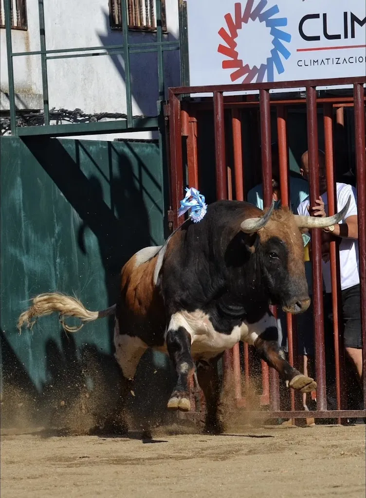 La Última Y Achal restaurant in Casas de Don Gómez