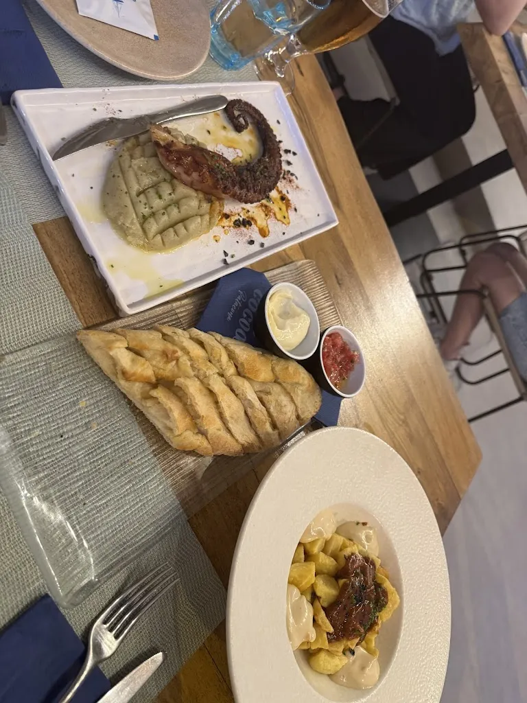 steven lopez_COCOA Valencia_Alborea_review