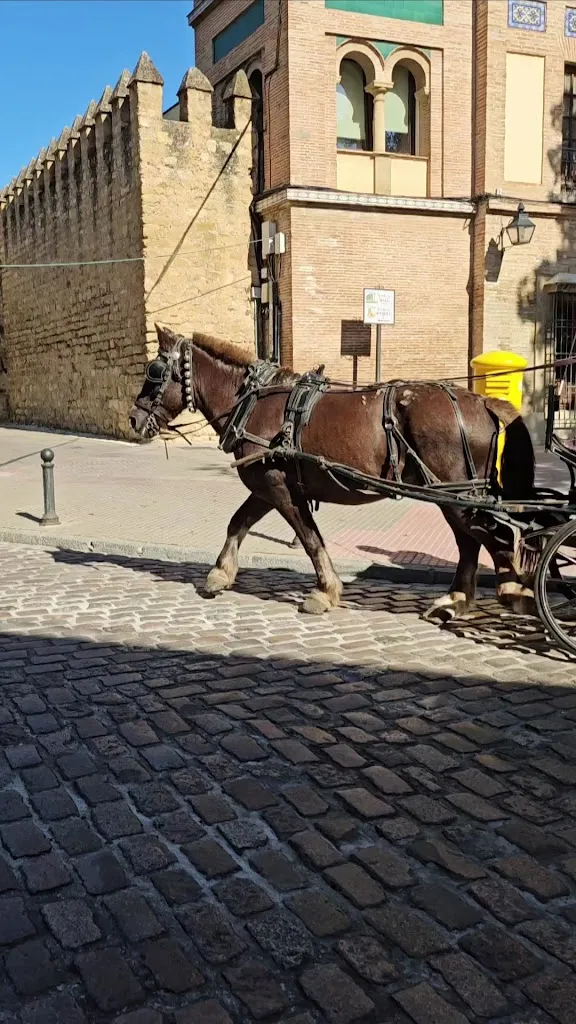 Cat HK_Casa Millán_Casas de Millán_review