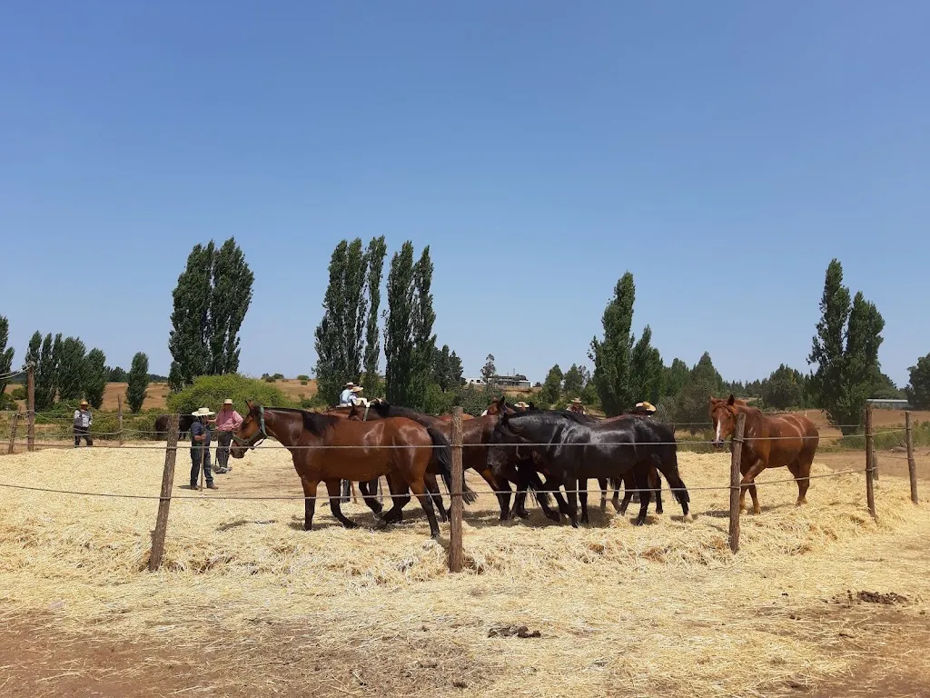 Centro de Eventos Valle de la Luna restaurant in Cabrero