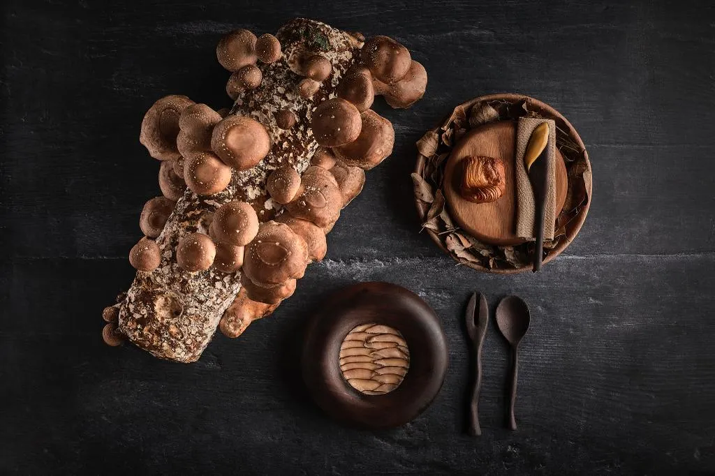 OBA-_Alborea_slider_image_3