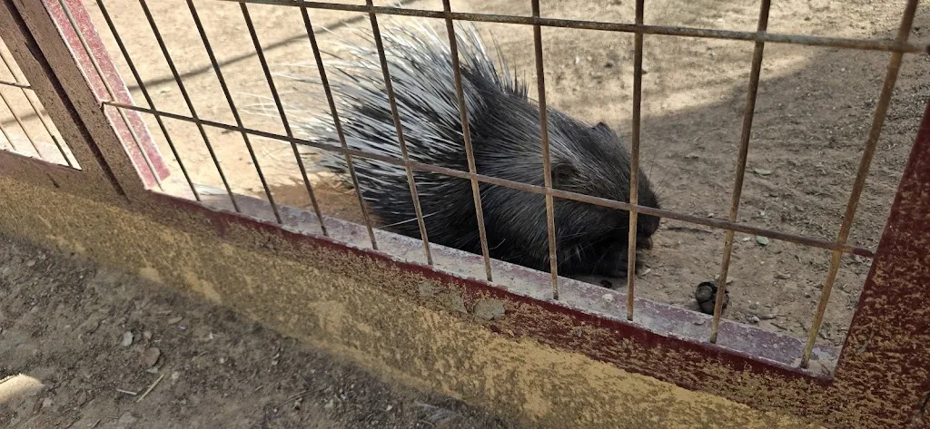 George LUPEA_Bioparque La Rocha_Alborea_review