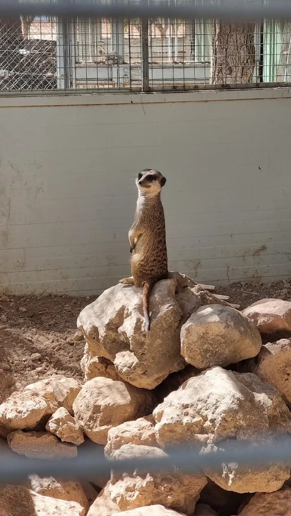 Nothing But Old_Bioparque La Rocha_Alborea_review