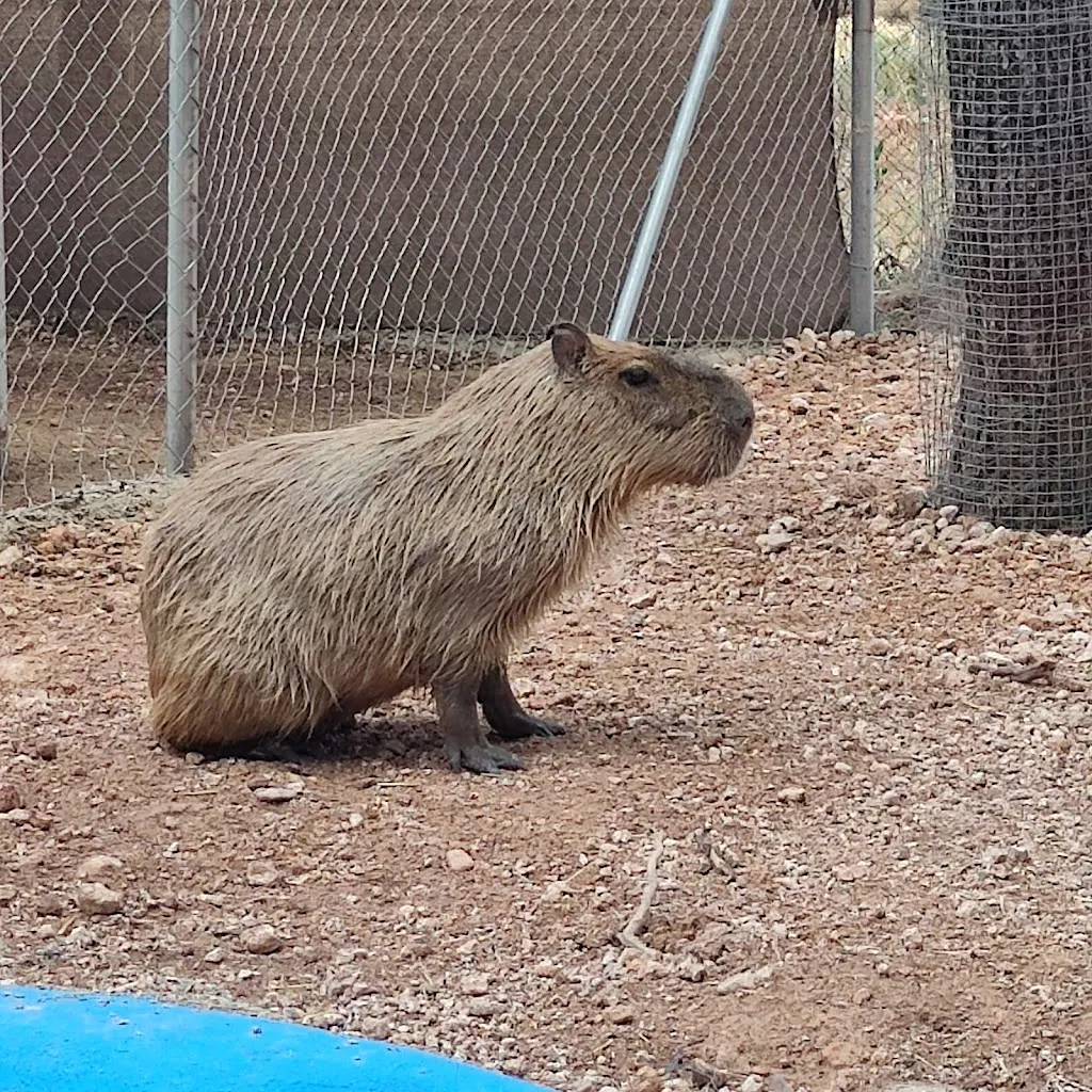 Bioparque La Rocha ristorante a Alborea