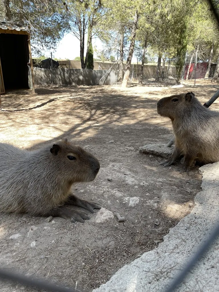 Bioparque La Rocha_Alborea_slider_image_3
