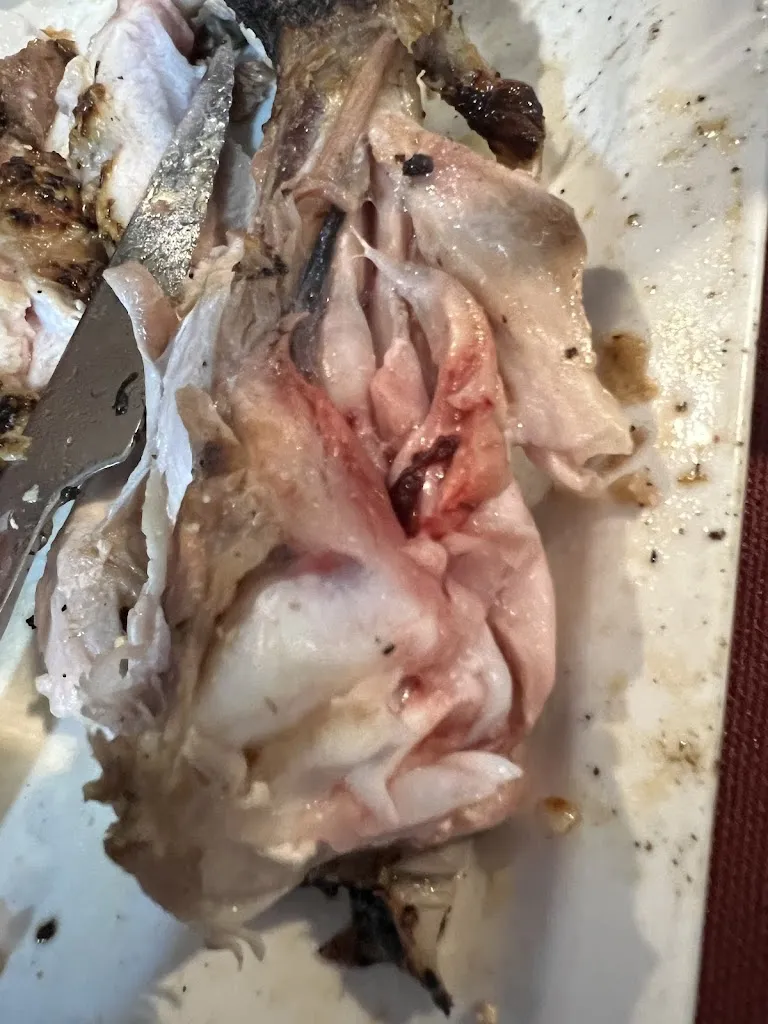 RCPL 426_Casa el Moli_Alcalá del Júcar_recensione