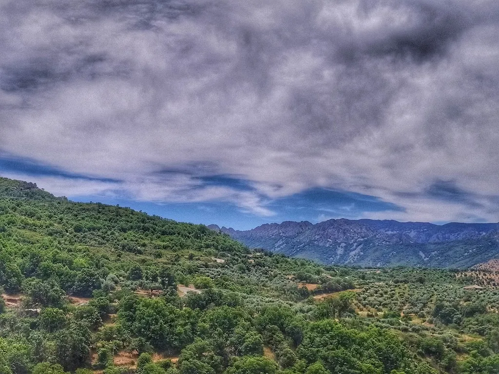 David Gibello (La cocina de Gibello)_Bar de Iván_Castañar de Ibor_recensione