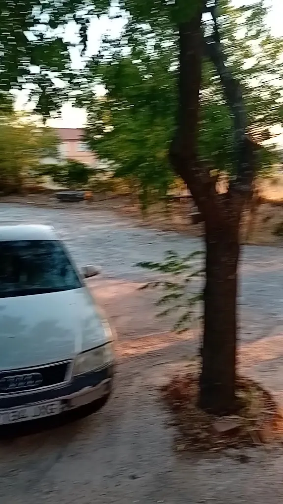 juan manuel cadenas_Cafetería Bar El Parador_Conquista de la Sierra_recensione