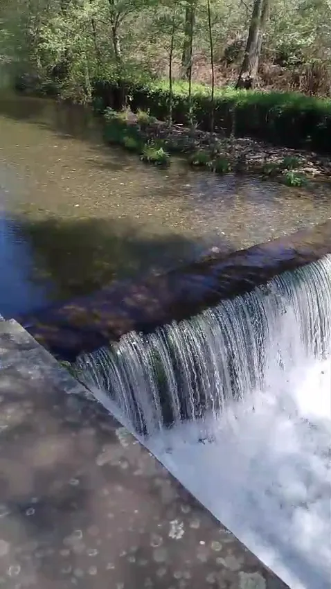 Fernanda APONTE GALAN_Molino De Las Ánimas_Descargamaría_review