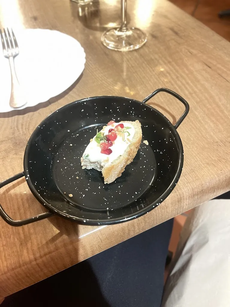 Katie Ringstad_GatoGato_Gata_review