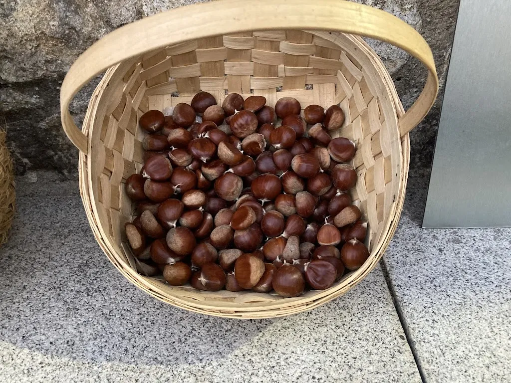 Eduardo Perez Salvador_A la verita tuya_Garganta la Olla_review