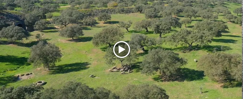 Extrem Ibérico_Herreruela_slider_image_2