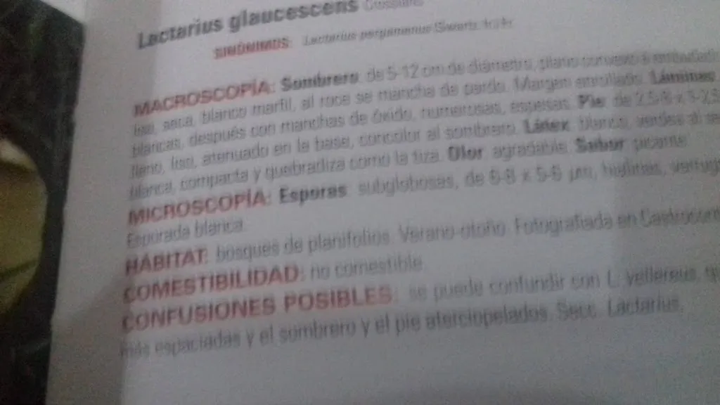 Menu_Meson El Refugio_Guijo de Santa Bárbara_image_3