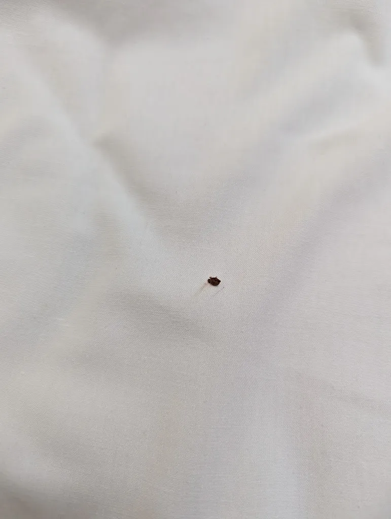 Erwan C_HOTEL RESTAURANTE JARILLA_Jarilla_recensione