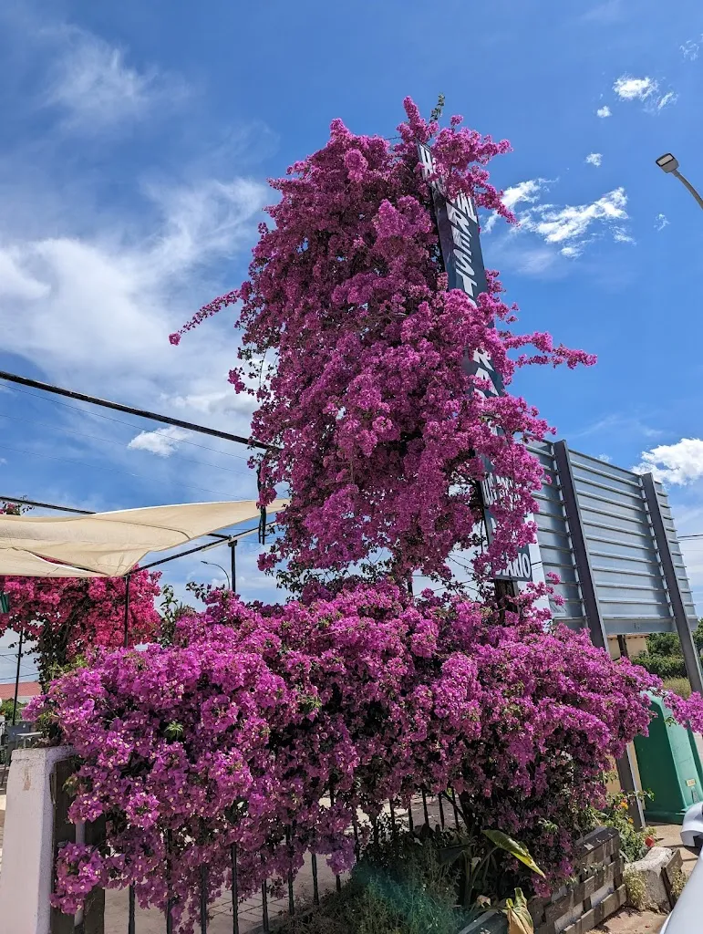 Hostal Los Rosales_Logrosán_slider_image_3