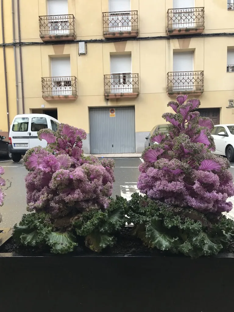 Karen Fontecha_Restaurante El Niño_Losar de la Vera_review