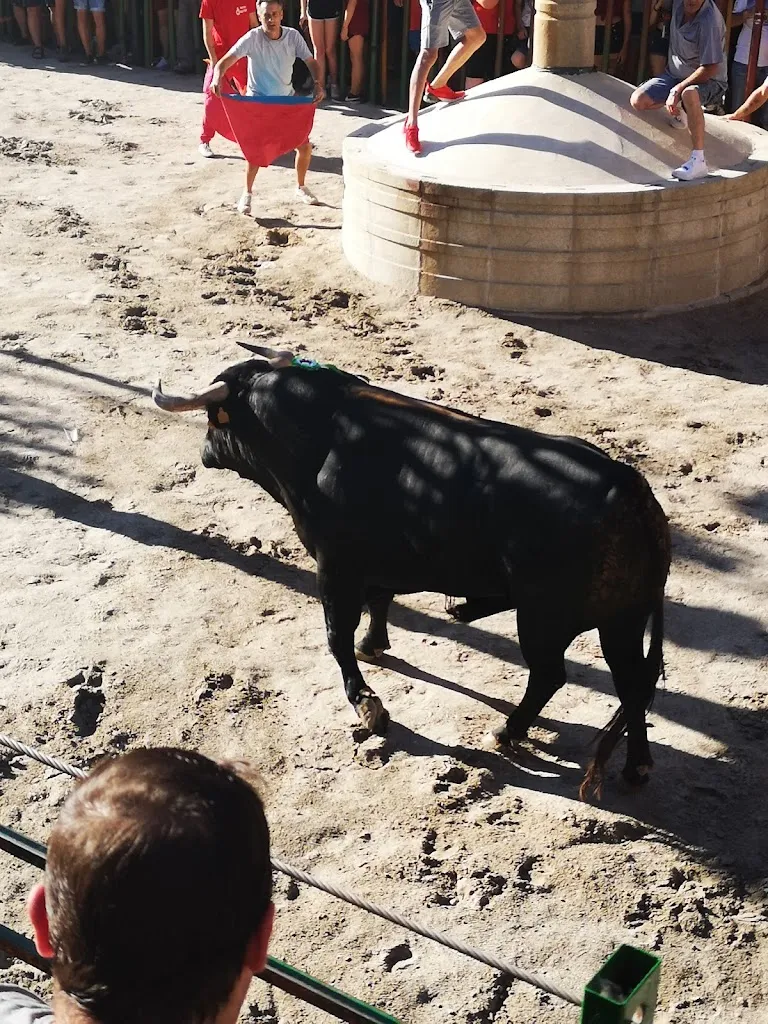 Mesón La Plaza._Jaraíz de la Vera_slider_image_2