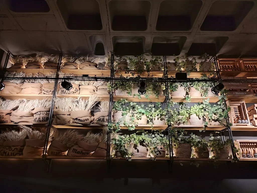 Nemanja Babic-Stefanovic_D.O Majadahonda_Majadas_review