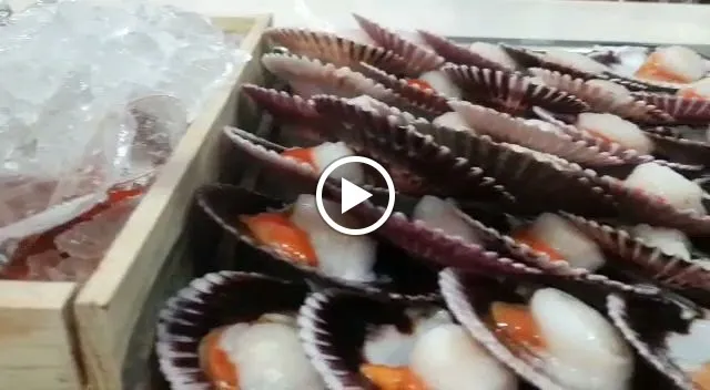 As de Bastos Majadahonda_Majadas_slider_image_2