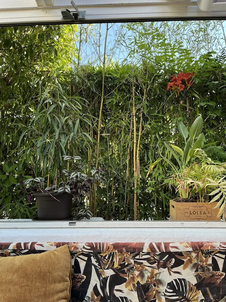 Ivan H_La Manuela_Majadas_recensione