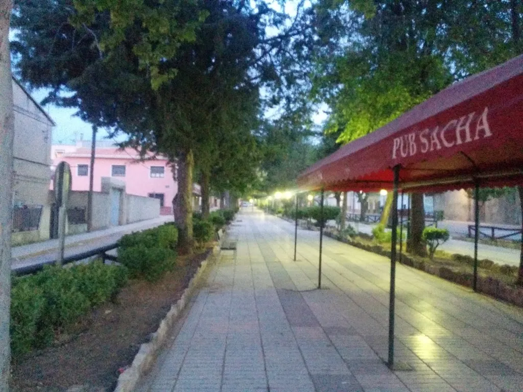 Cafetería-Pub sacha. restaurant in Alpera