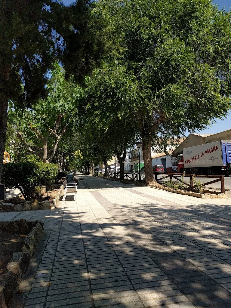 Cafetería-Pub sacha._Alpera_slider_image_2