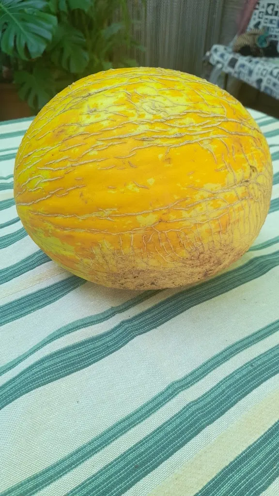 Menu_Bar Cafeteria Santiago_Miajadas_image_2