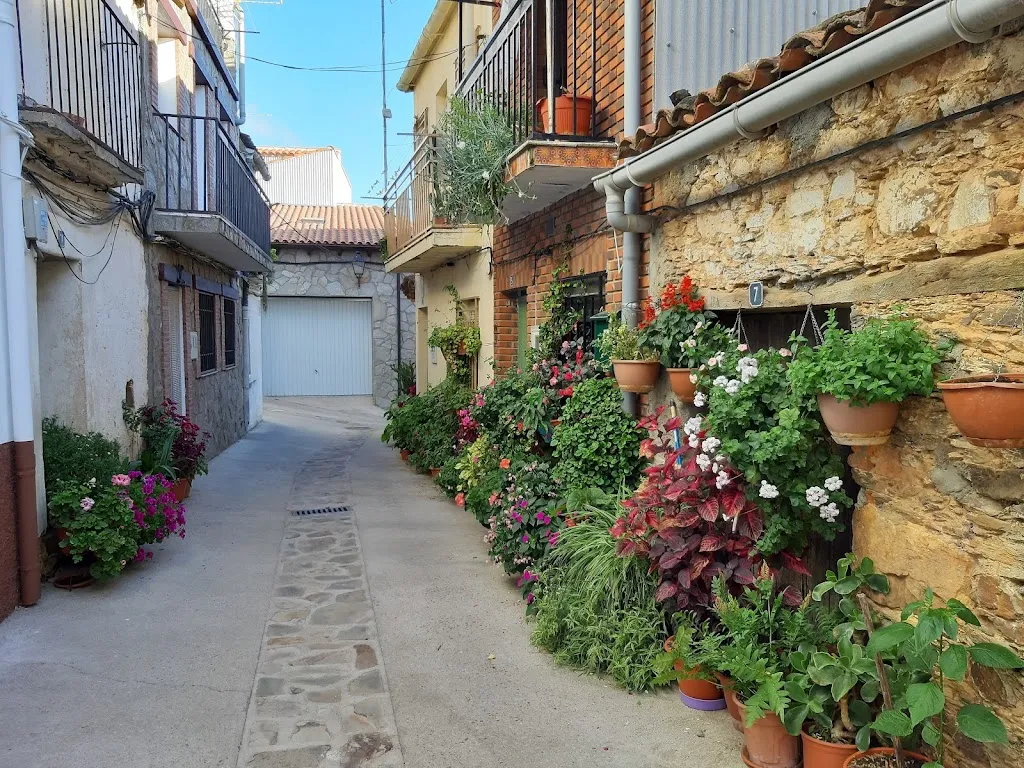 Bar "Hogar del Pensionista" restaurant in Navezuelas