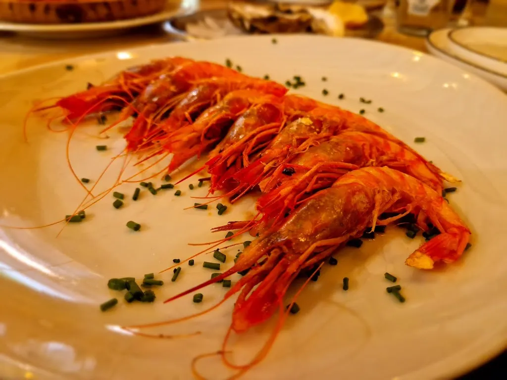 O CURRUNCHO_Palomero_slider_image_3