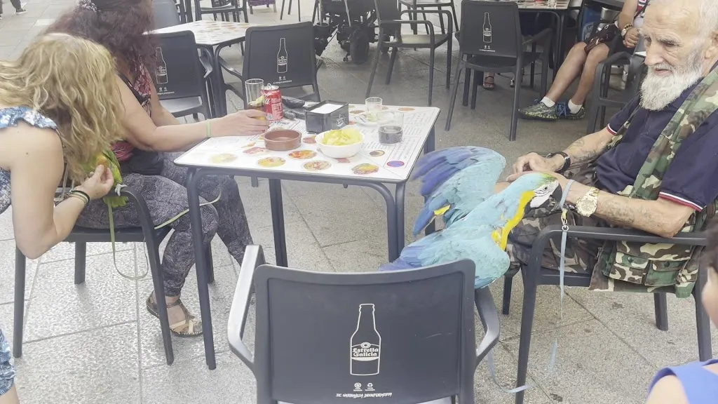 El Platazo Cafeteria Restaurante_Palomero_slider_image_2