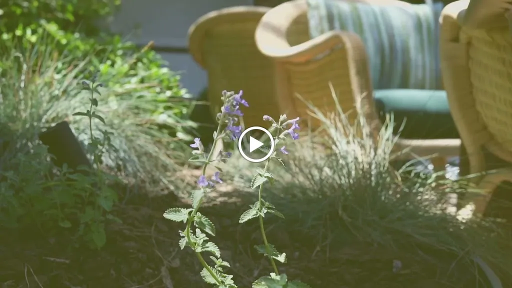 Restaurante Áurea_Moraleja_slider_image_2