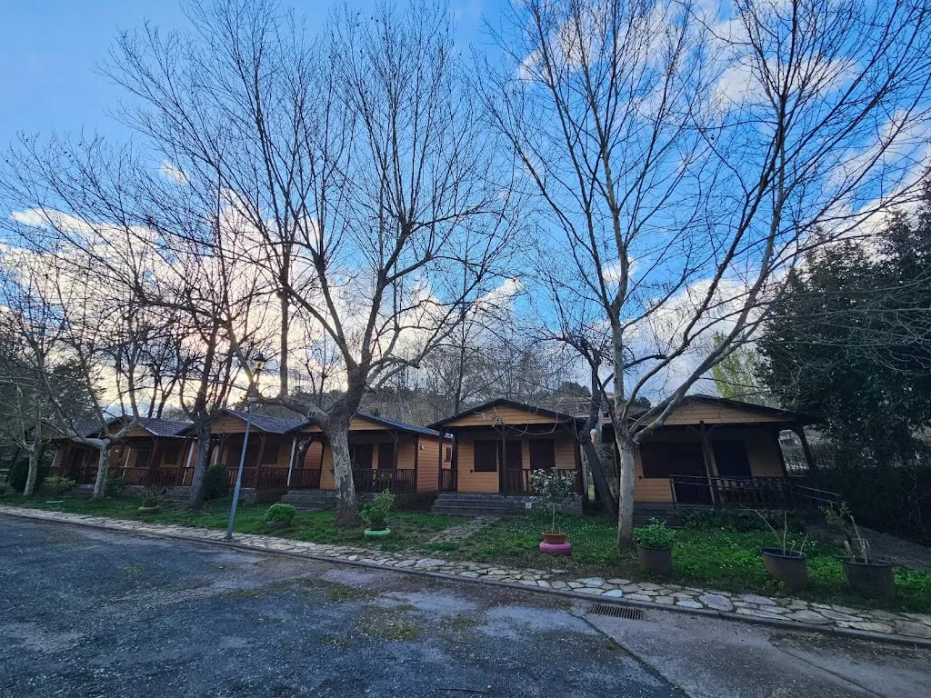 Camping - Bungalows Del Pino_Pinofranqueado_slider_image_1
