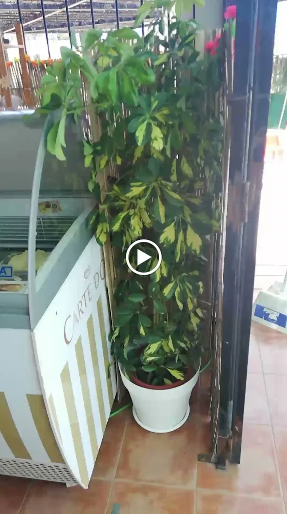 Bar La Piscina(Pozuelo de Zarzón) restaurant in Pozuelo de Zarzón