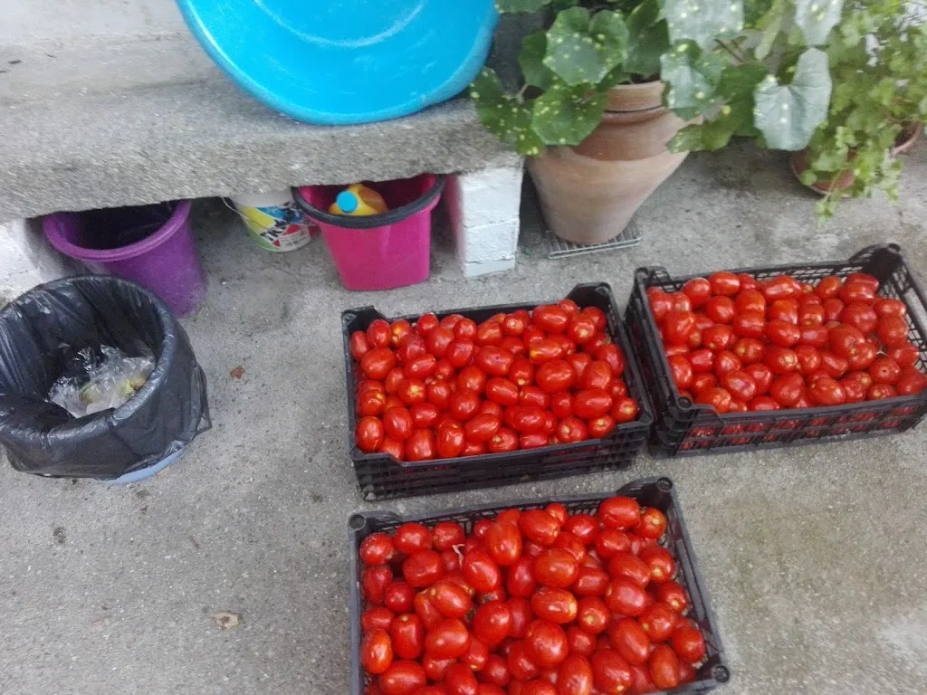 Menu_Bar Piscina Rosalejo_Rosalejo_image_3