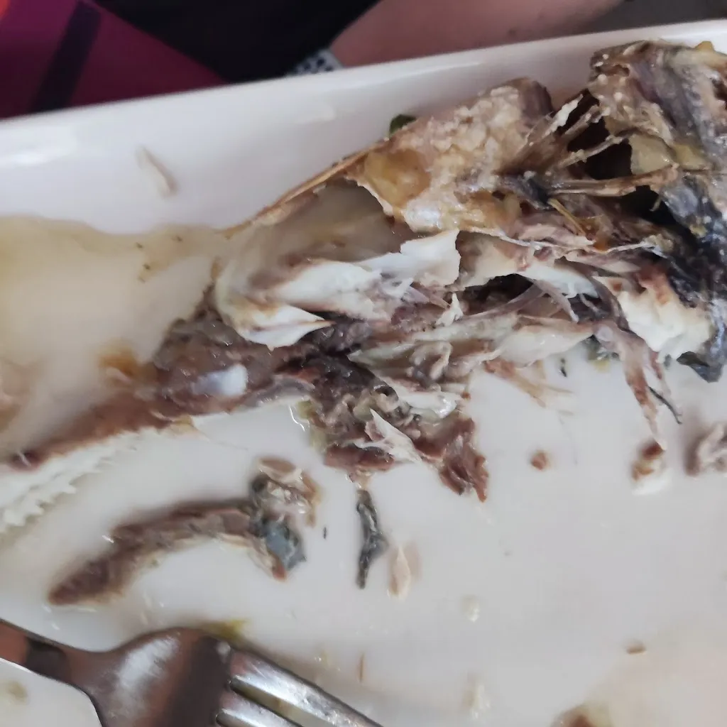 Maris Novickis_KAFKA_Puerto de Santa Cruz_review