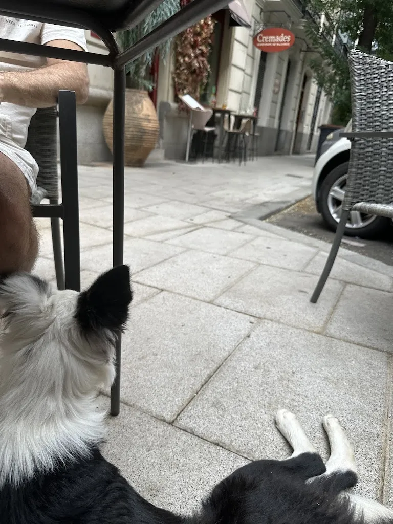 Ellie Tamari_Kanbun Barrio De Salamanca_Ares_recensione