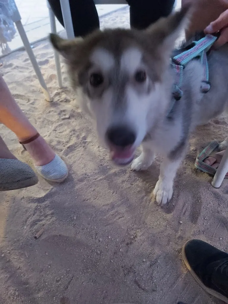 ANTONIO GONZALEZ LOPEZ_Bar Torress_Serradilla_review