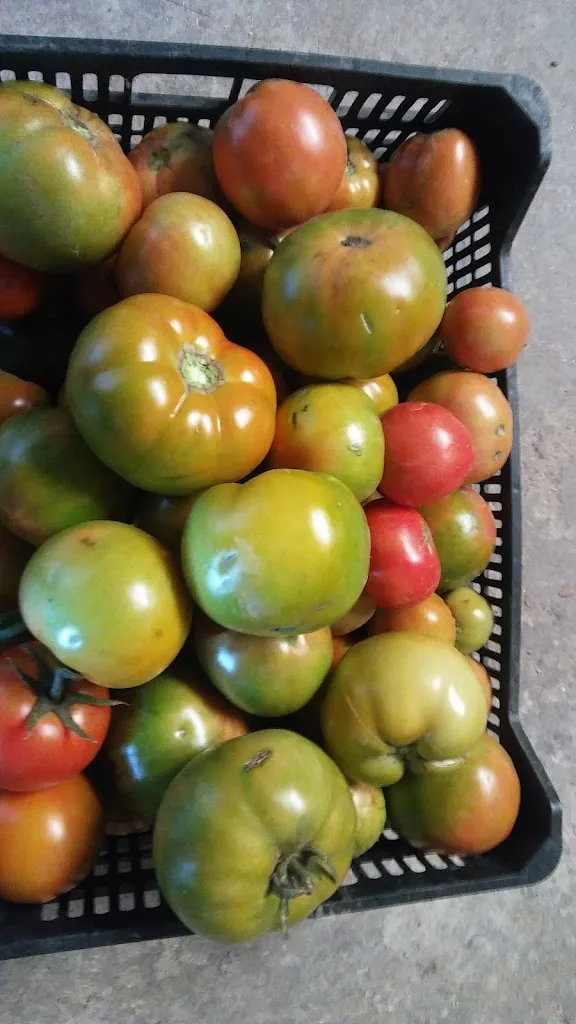 Serraillanu restaurant in Serradilla