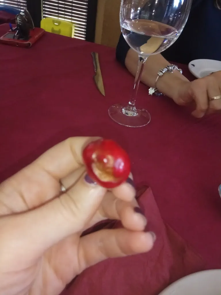 Isabel Tirador Vázquez_Restaurante Sabores del Jerte_Torno El_review