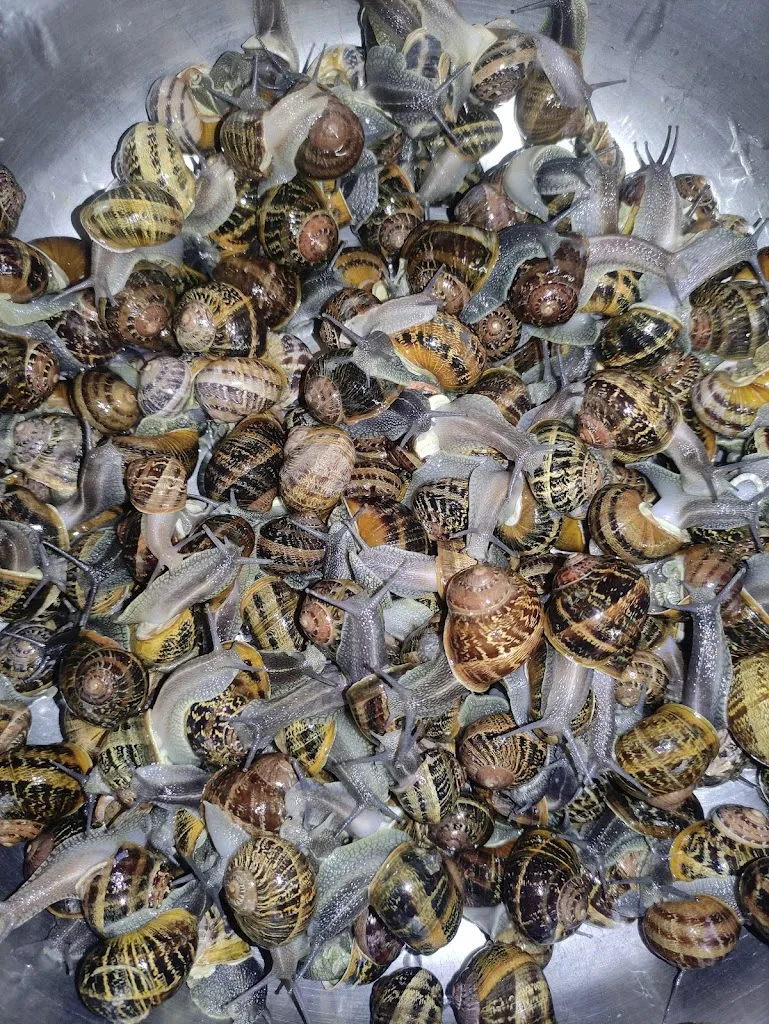 Menu_Carpe Diem_Torre de Don Miguel_image_2