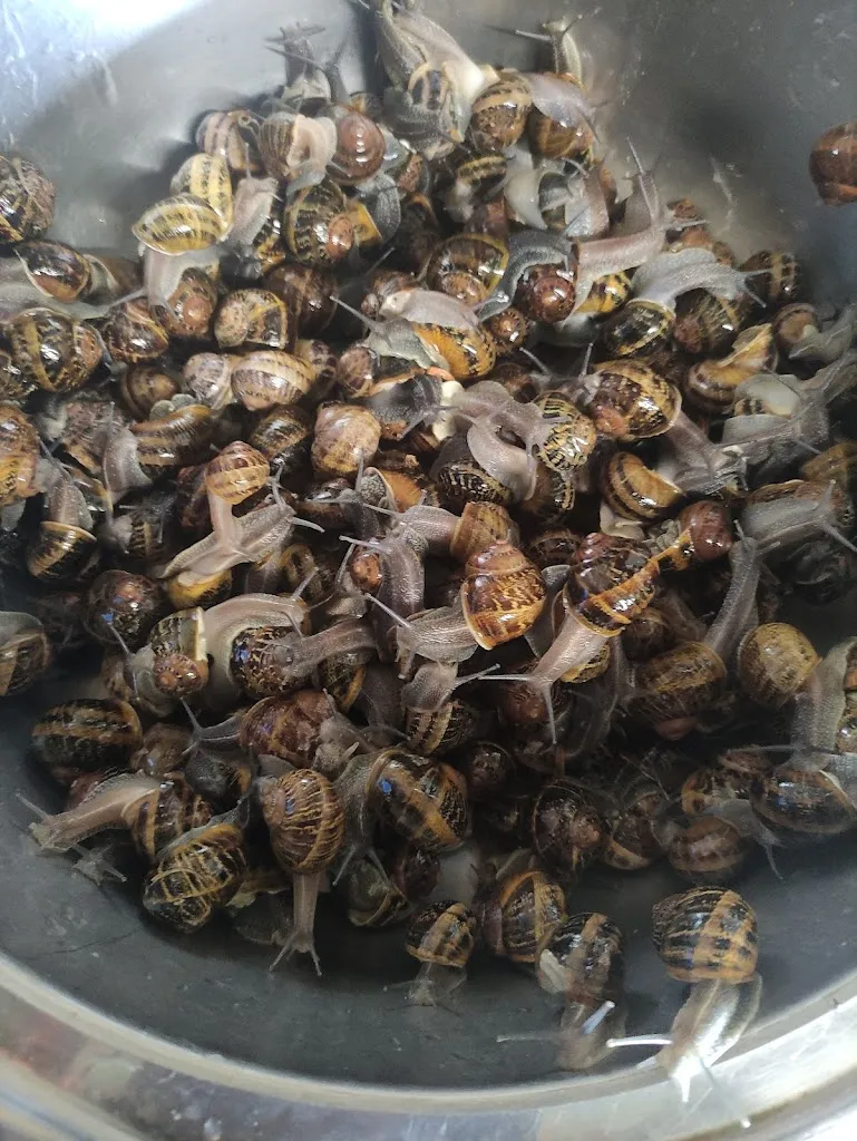 Carpe Diem restaurant in Torre de Don Miguel