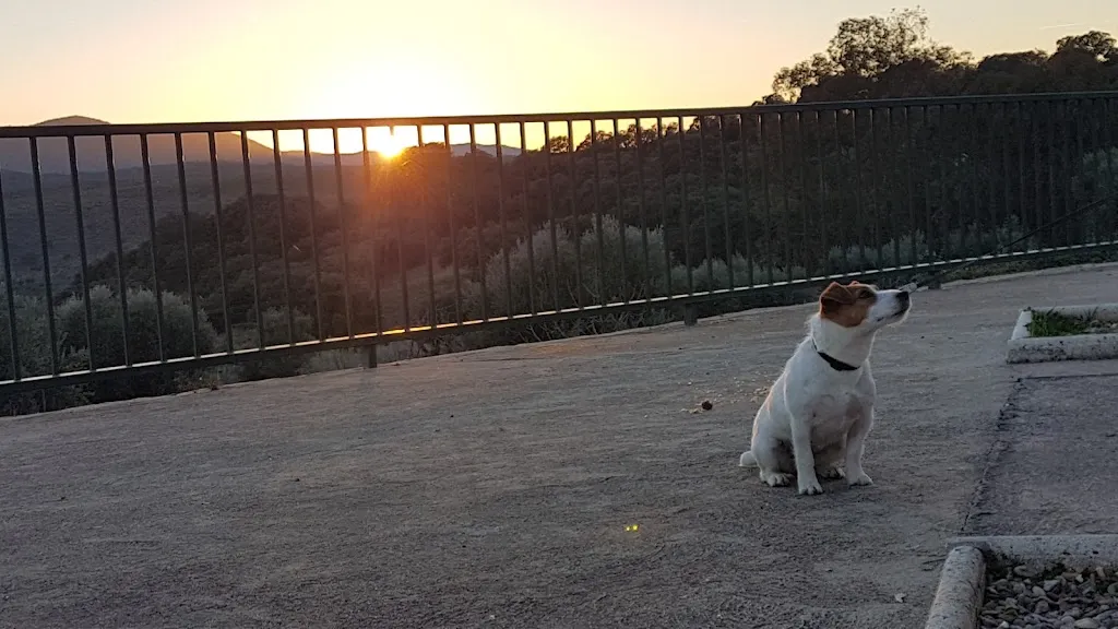 Bar De Cañas_Valdecañas de Tajo_slider_image_3