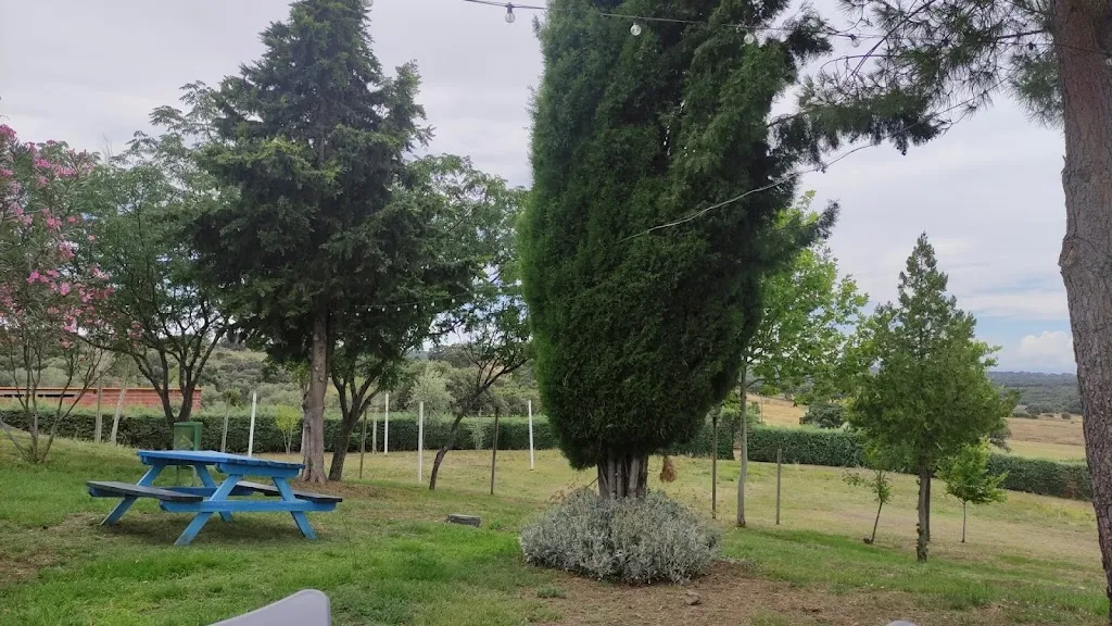 Juan Martin-Forero Bravo_Café Bar La Canchala_Valdehúncar_review